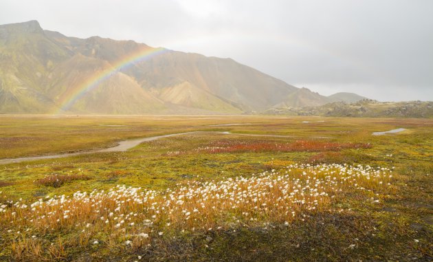 Landmannalaugar in IJsland