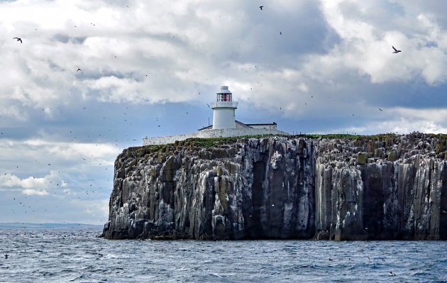 Farne Islands: doen!