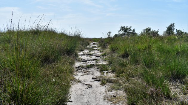 duurzaam reizen fotowedstrijd