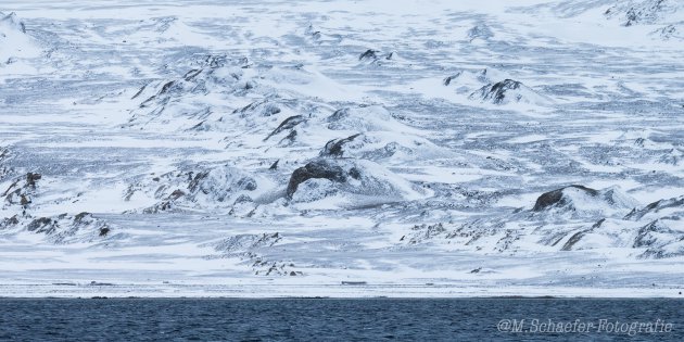 Spitsbergen