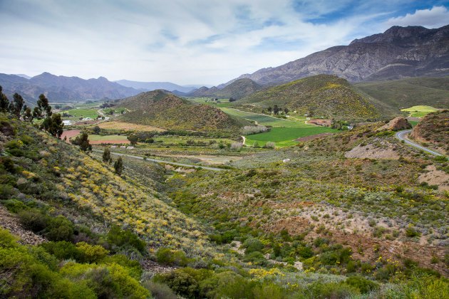 Wonderschoon Zuid-Afrika