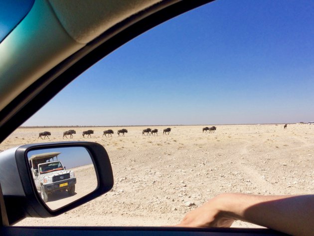 Dwars door Etosha