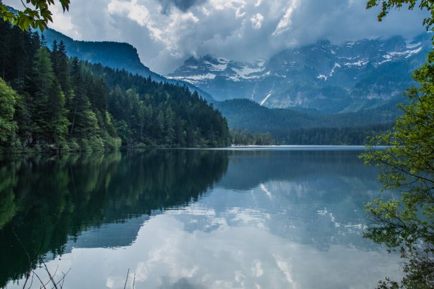 Wandelen zonder anderen? Ga naar NP Brenta Park