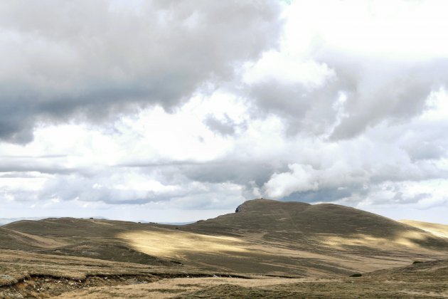 Landschap bij Busteni