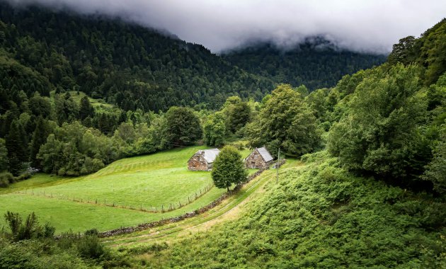 Ga mee met de schaapherders in de Pyreneeën