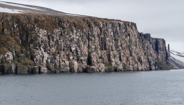 Alkefjellet Vogelrots