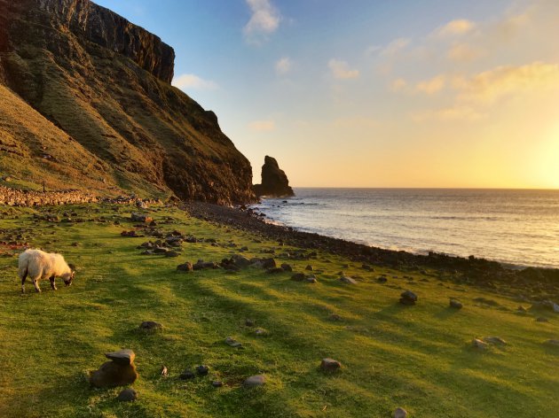 Heerlijk Talisker (bay)