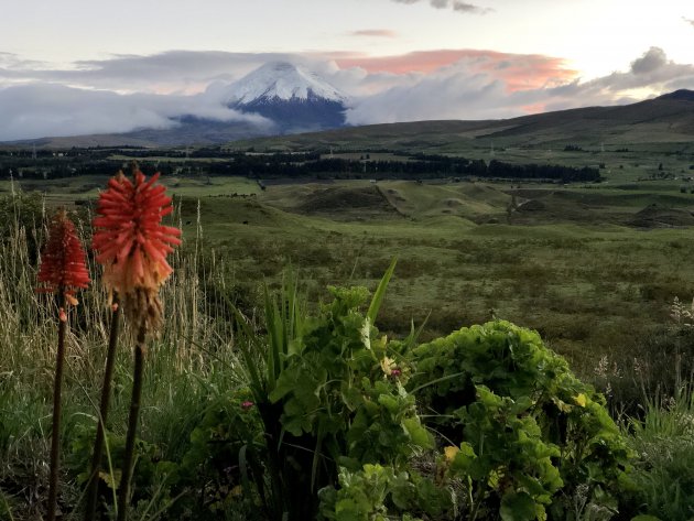 The Secret Garden Cotopaxi