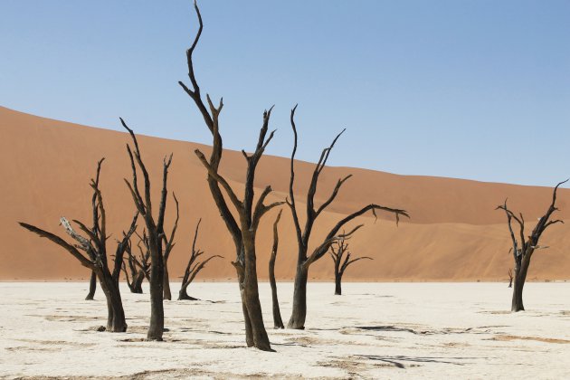 Dorheid en leegte kan verrassend mooi zijn