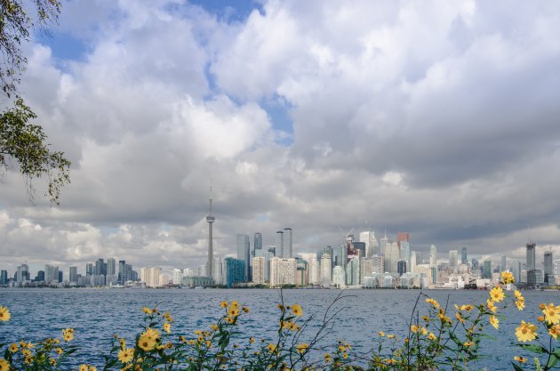 Toronto island