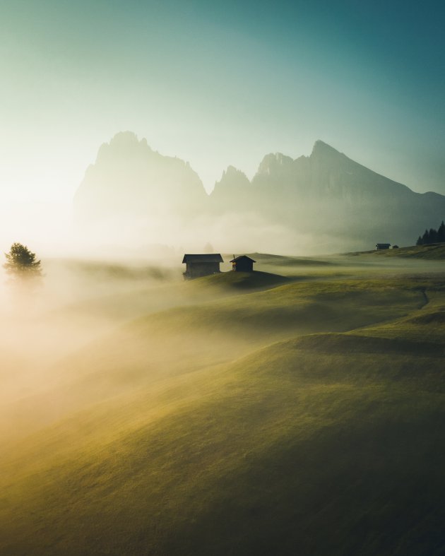 De Alpenweides van de Dolomieten