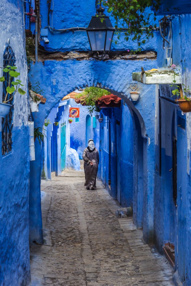 Blauw in veel verschillende tinten