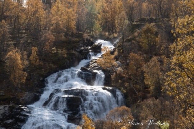 Waterval in de herfstzon