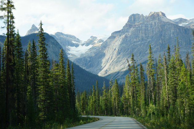 Ansichtkaart in Yoho NP