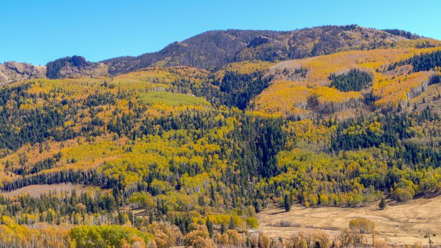 Herfst in Colorado