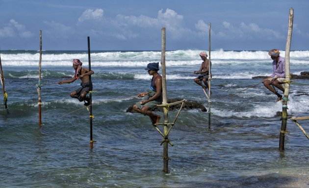 Stilt Fishermen Koggala
