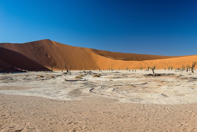 Deadvlei