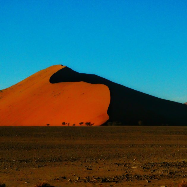 Contrasten in Sossusvlei