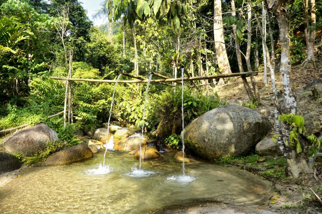 Bamboe douche in de jungle