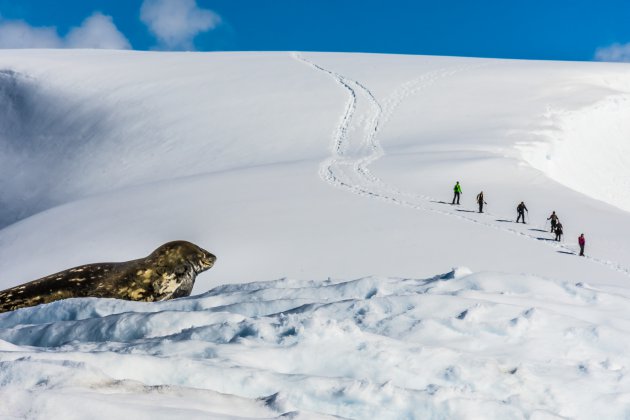 Wandelen op Antarctica