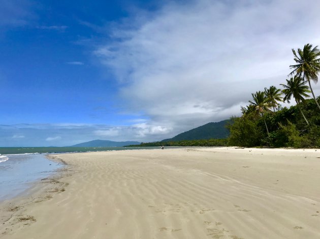 Het eindeloze strand van Cape Tribulation