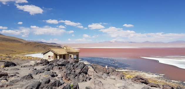 Laguna Colorada