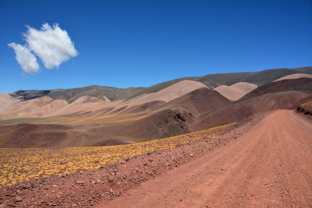 Buitenaards landschap