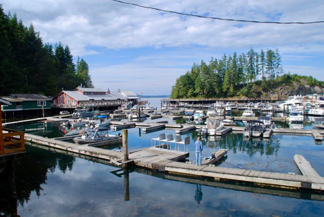 Pareltje op Vancouver Island