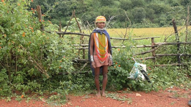 Bijna verdwenen culturen in Odisha India