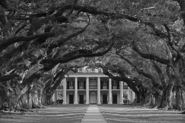 Oak Alley Plantation