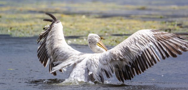 Een veilige landing