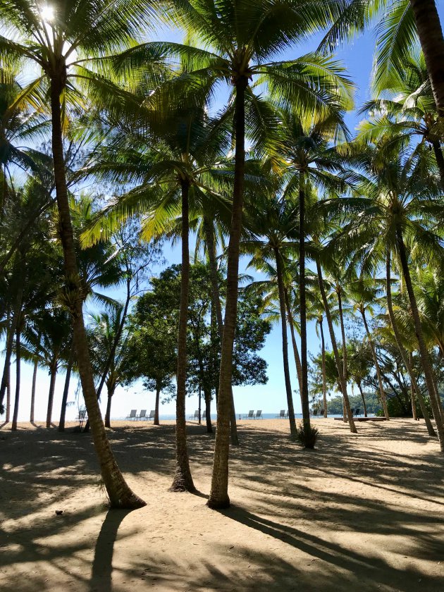 Paradijselijk strand