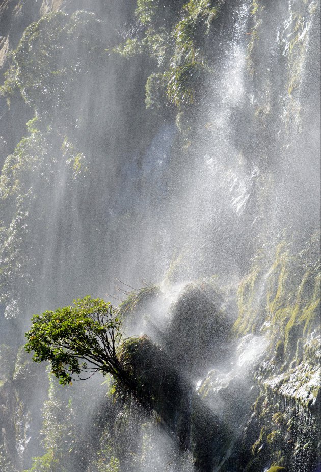 Bestand tegen het watergeweld in Milford Sound