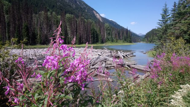 Canadian Rocky Mountains in summer