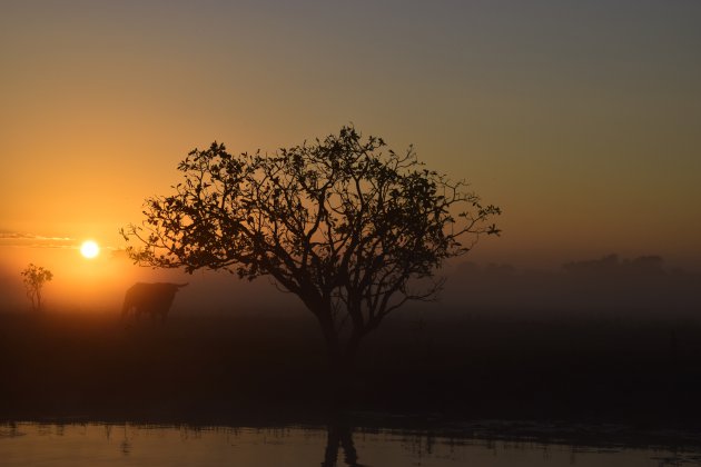 Sunrise river tour in Kakadu National Park