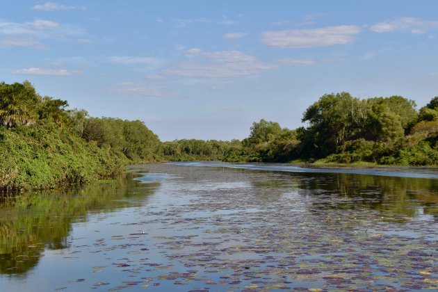 Billabong-tocht over de Mary River