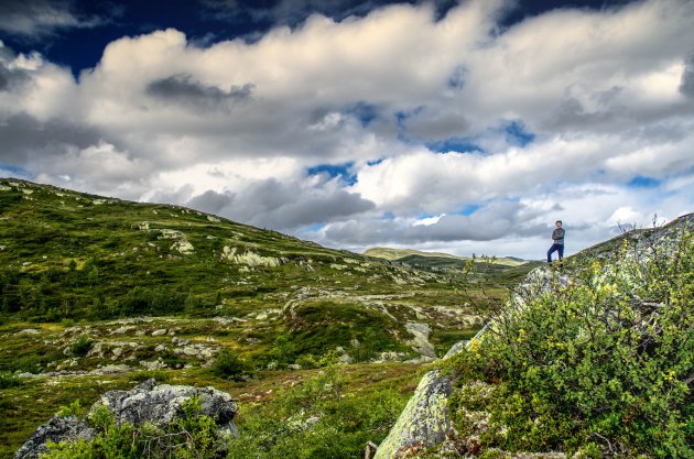 Hiken met kids in Hardangervidda NP