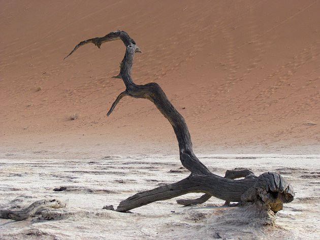 Dead Vlei