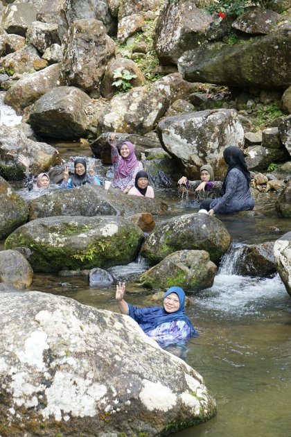 Reünie  in de natuur