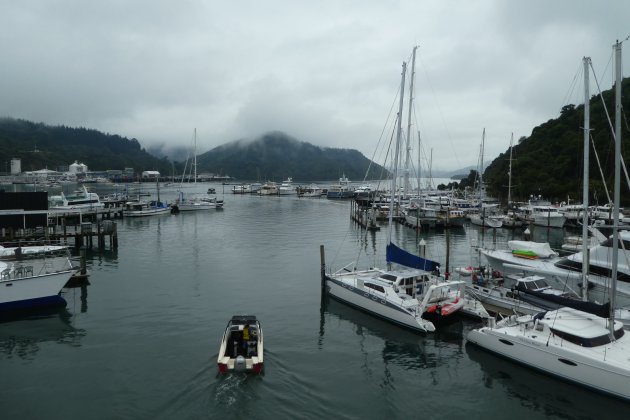 De ferry van Picton naar Wellington