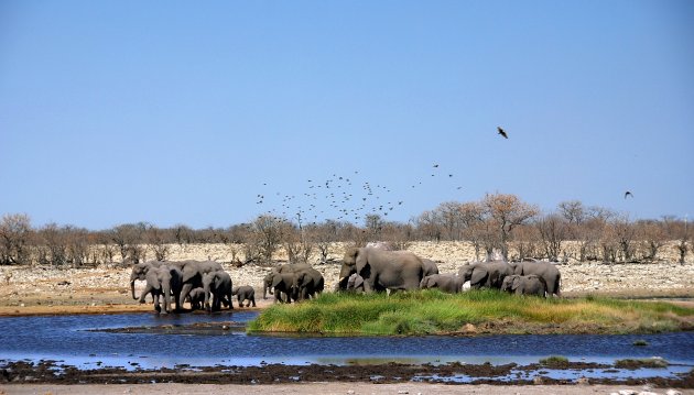 In droge of regentijd naar Namibië?