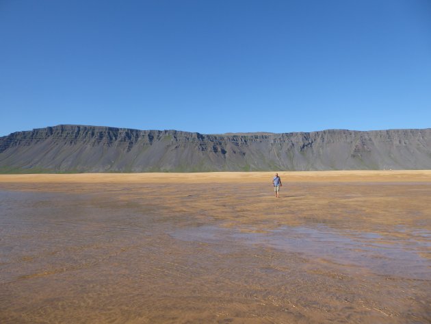 IJslandse strand Raudisandur