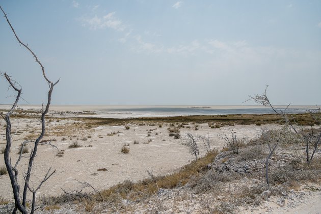 Etosha pan