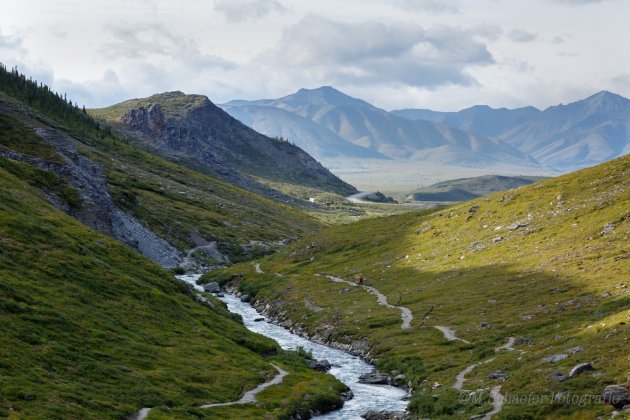 Wandelen in Denali National Park