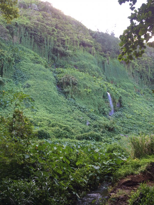 L'Anse des Cascades