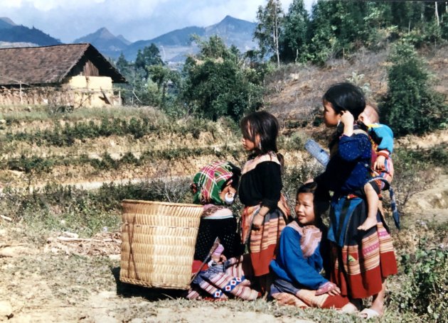 Young flower Hmong naar de markt