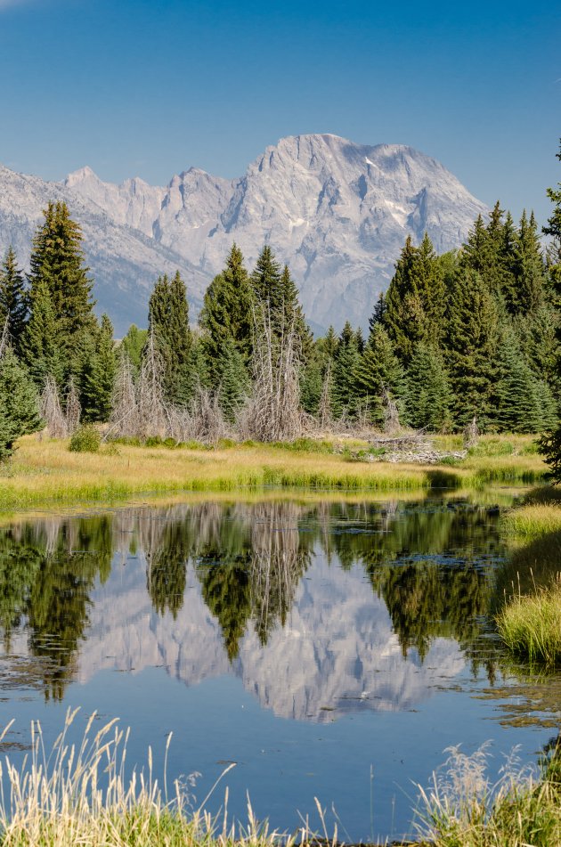 Schwabacher Landing