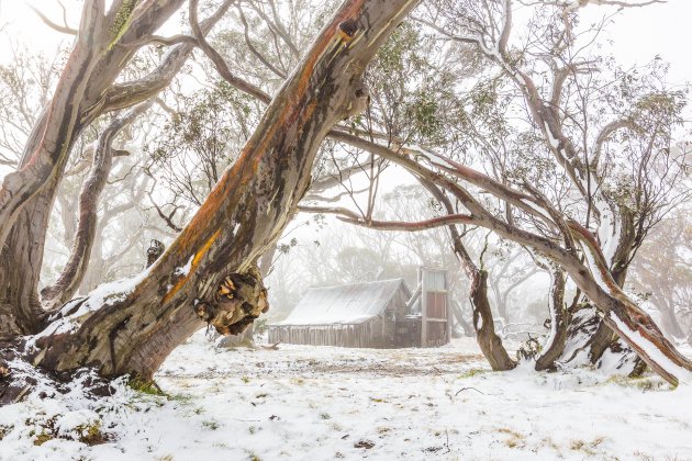 Wallace's hut