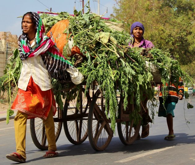 Straatbeeld Patan