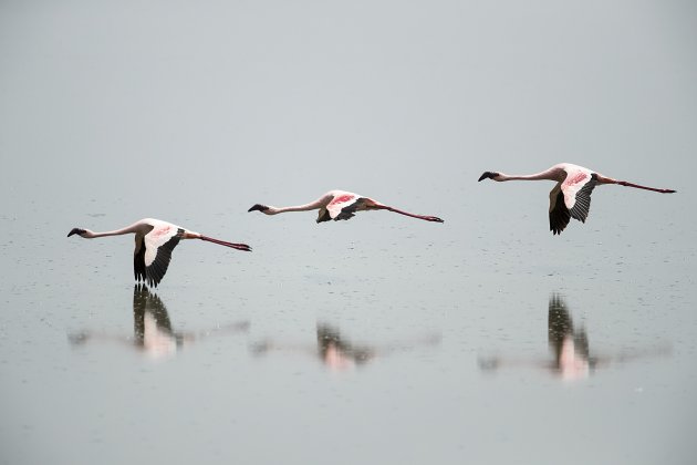 Lake Manyara